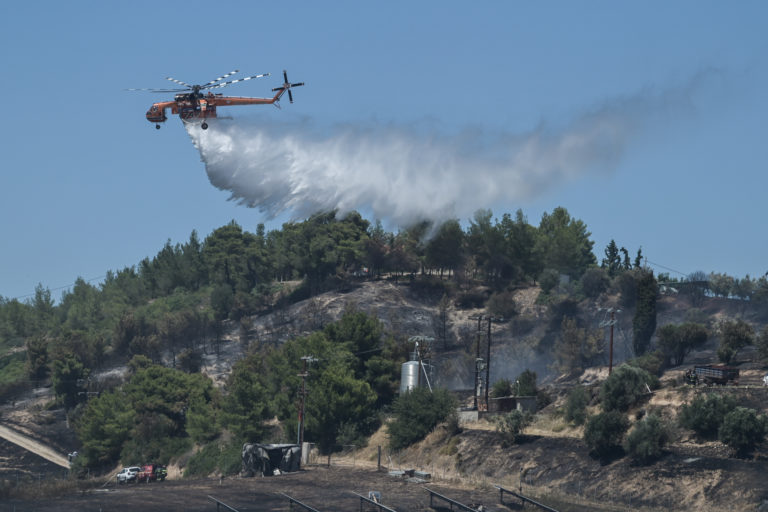 Υψηλός o κίνδυνος πυρκαγιάς σήμερα στην Κρήτη