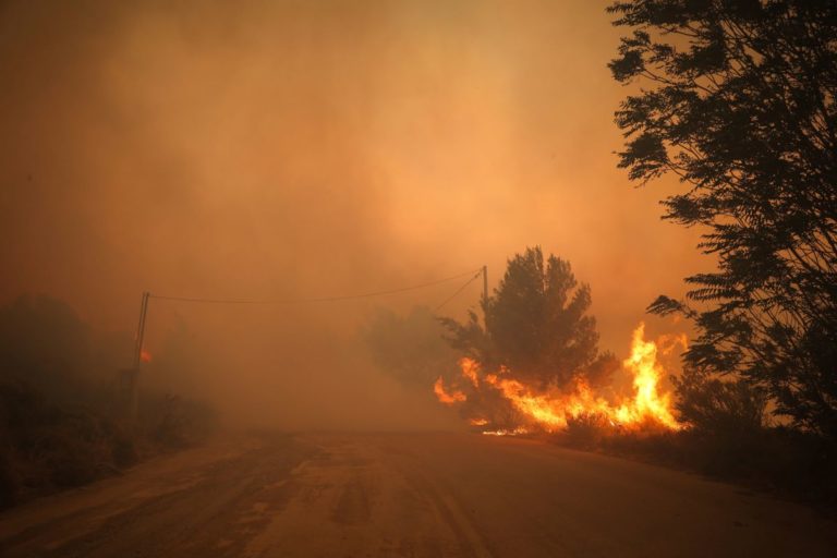 Δήμαρχος Πεντέλης στο Πρώτο: Κάηκαν 5.000 στρέμματα δάσους (audio)