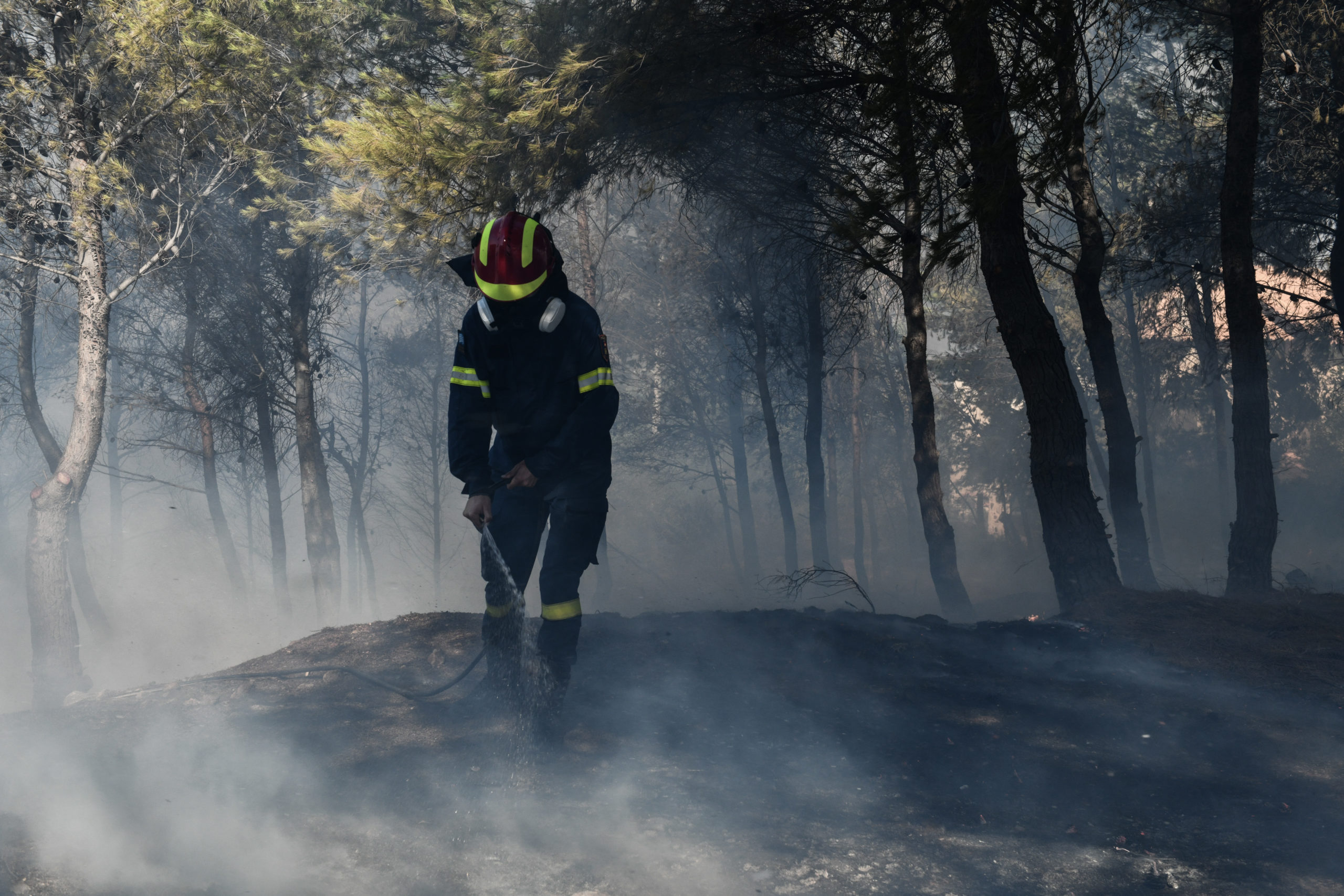 Φωτιά στα Μέγαρα – Προληπτική εκκένωση οικισμού