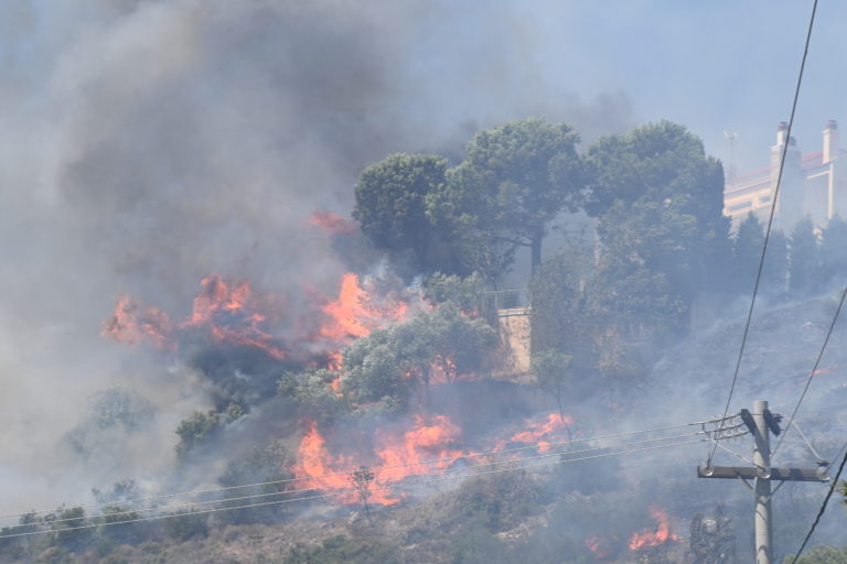 Οδηγός προστασίας των πολιτών από τις πυρκαγιές – Τι πρέπει να αποφεύγουμε