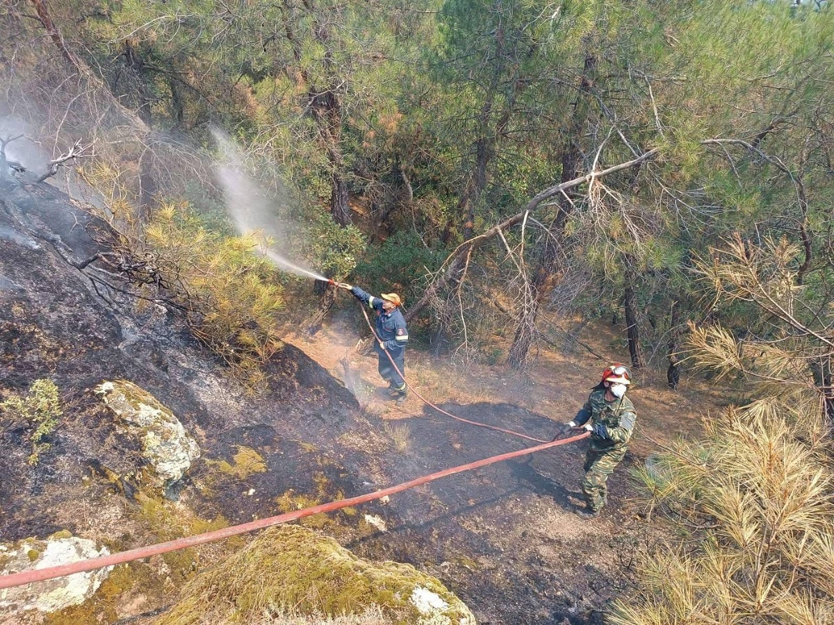 Παρούσες όλες οι Δασικές Υπηρεσίες Έβρου για την κατάσβεση της Δαδιάς