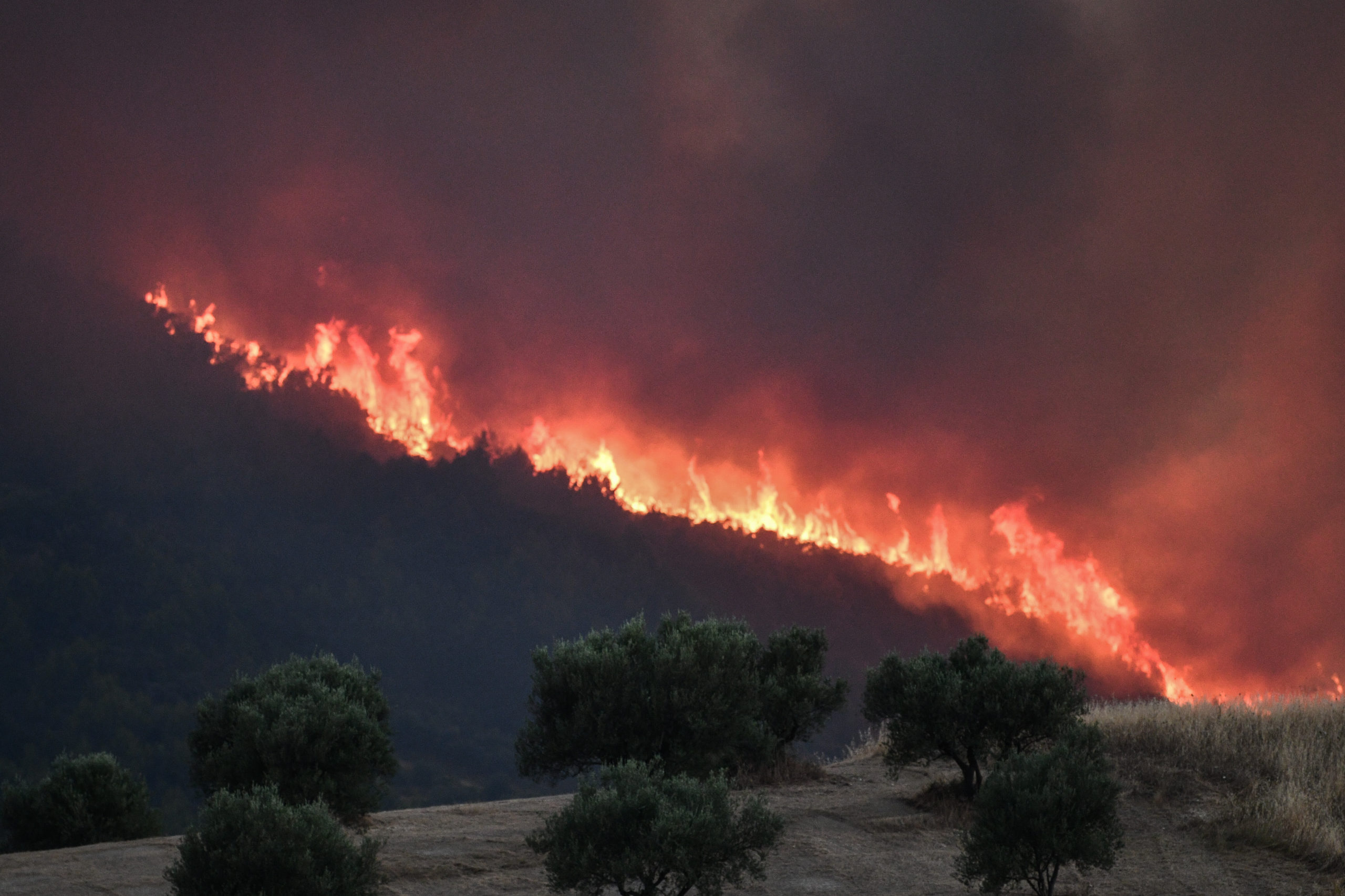 Υψηλός σήμερα ο κίνδυνος πυρκαγιάς στην Κρήτη