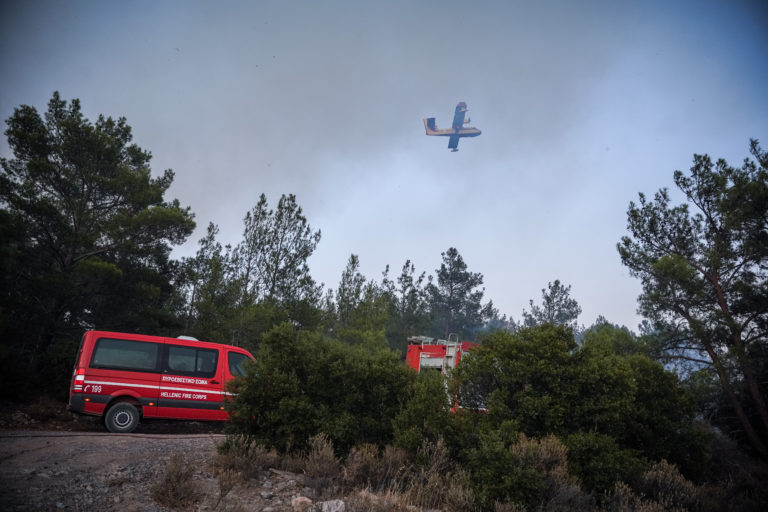 Γ. Αρτοποιός: Οριοθετημένη η φωτιά στον Έβρο, σε ύφεση η πυρκαγιά στη Λέσβο