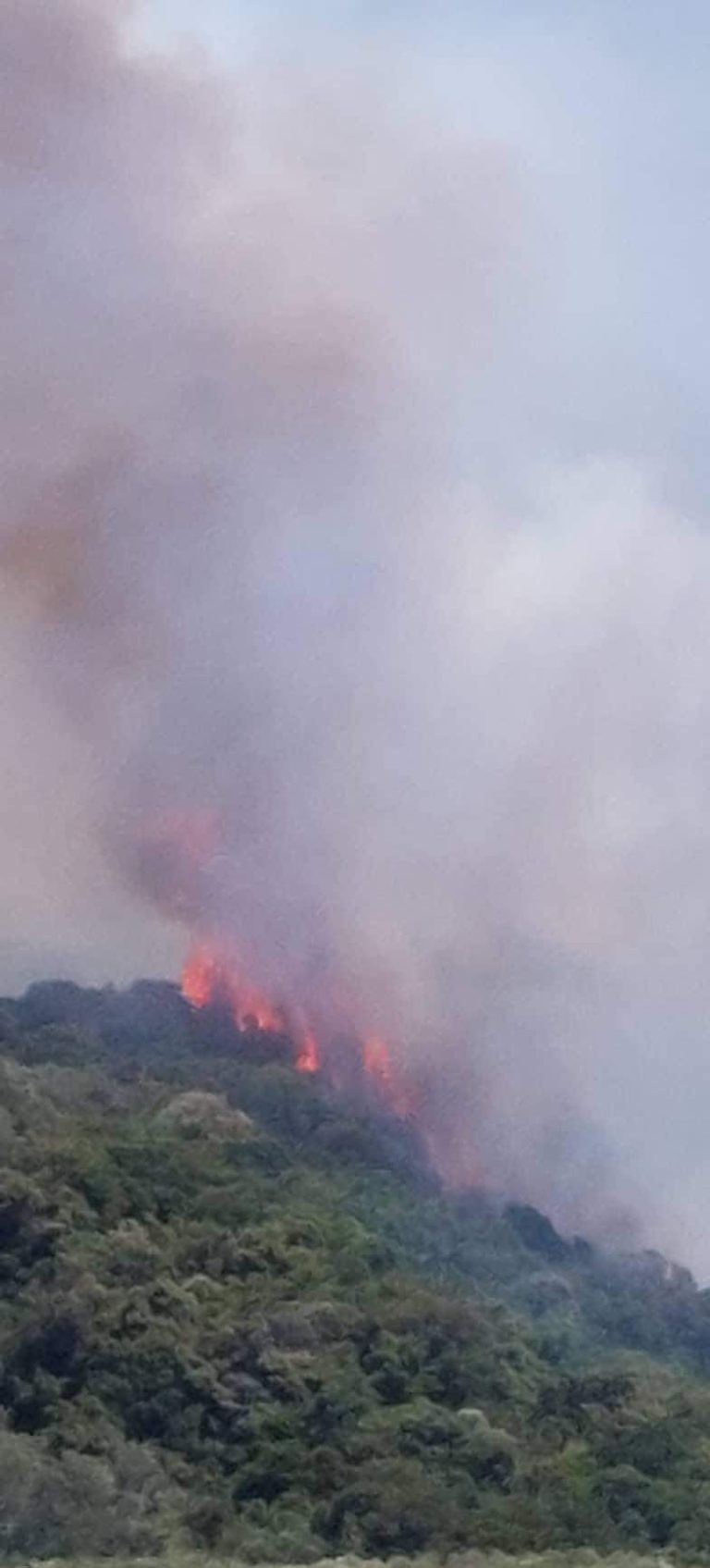 Ανεξέλεγκτη η φωτιά στη Νότια Κέρκυρα