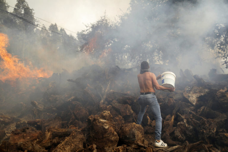 Καταστροφικές πυρκαγιές σε Πορτογαλία, Ισπανία και Γαλλία, μέσω καύσωνα