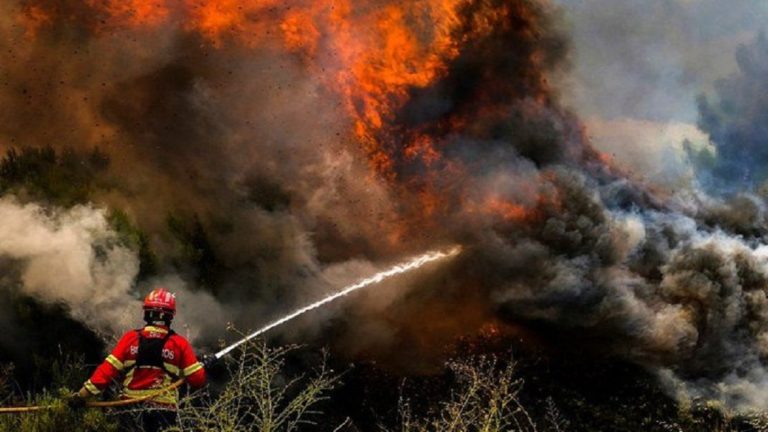 Πύρινος εφιάλτης στη Δ. Ευρώπη – Νεκρός κυβερνήτης πυροσβεστικού – 360 θάνατοι συνδέονται με τις ακραίες θερμοκρασίες