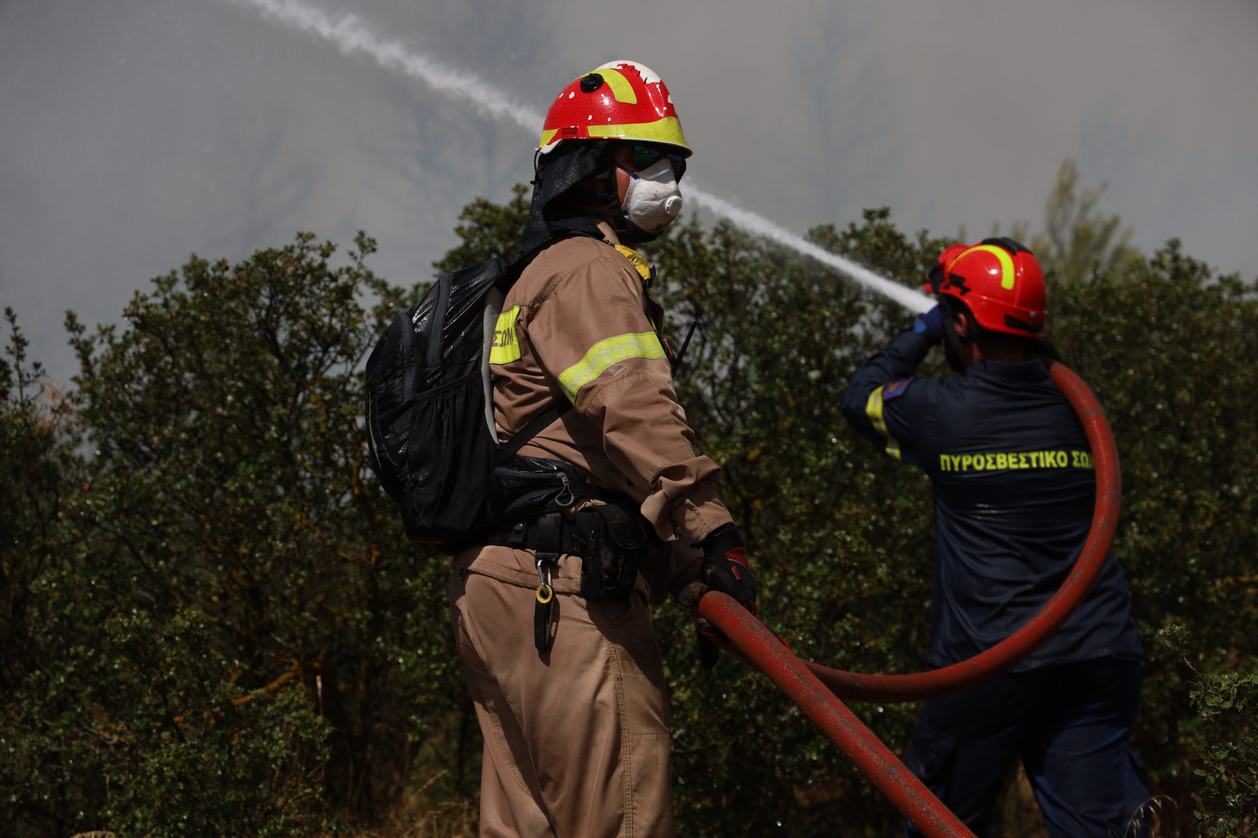 Μυτιλήνη: Σβήστηκε η φωτιά στο άλσος της Αγίας Κυριακής