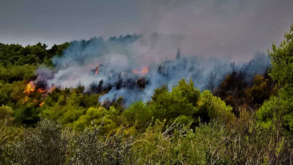 Νέα πυρκαγιά στο Πόρτο Κατσίκι Λευκάδας