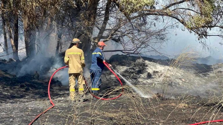 Κίνδυνος από ακαθάριστα οικόπεδα στον Πύργο