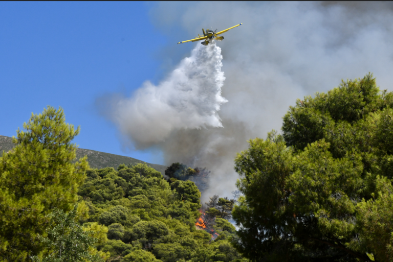 Πάτρα: Συνελήφθη ένας άνδρας για την φωτιά στην περιοχή Καλλιθέα