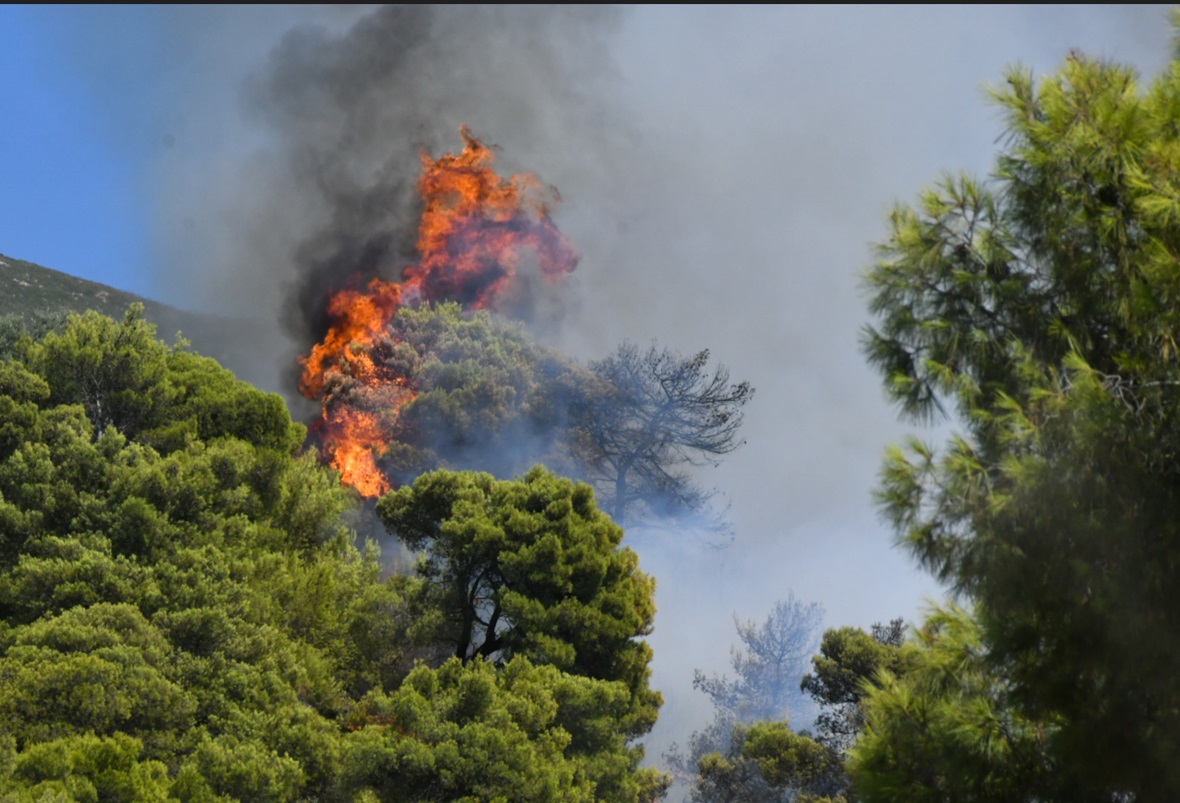 Πάτρα: Παραμένει σε εξέλιξη η φωτιά στην περιοχή στην Καλλιθέα