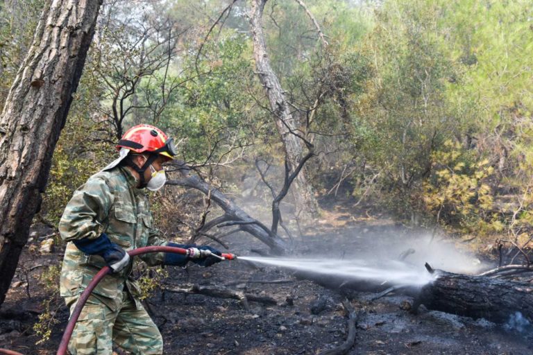 Απειλείται το δάσος της Δαδιάς — Τρίτη μέρα μάχης με τις φλόγες (video)
