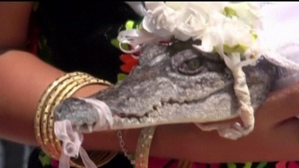 Μεξικό: Τιμώντας προαιώνια παράδοση, δήμαρχος παντρεύεται αλιγάτορα