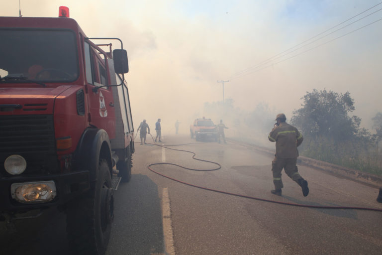 Καλύτερη εικόνα στα πύρινα μέτωπα Φωκίδας, Αργολίδας – «Ο μεγάλος κίνδυνος έχει αποφευχθεί»