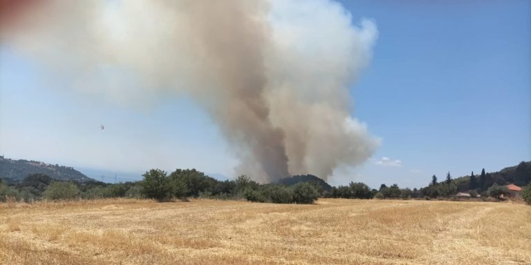 Πυρκαγιά στην Καλλιθέα Αχαΐας (video)