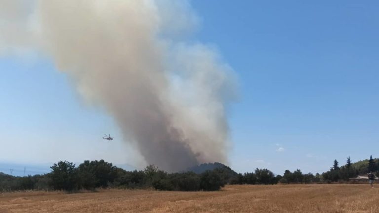 Πάτρα: Καλύτερη η εικόνα της φωτιάς στην Καλλιθέα – Εξακολουθούν να επιχειρούν ισχυρές δυνάμεις