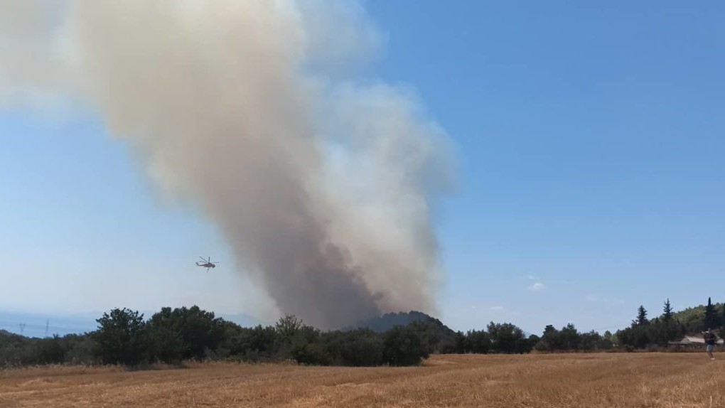 Πάτρα: Συνελήφθη άνδρας ως υπαίτιος της πυρκαγιάς στην Καλλιθέα