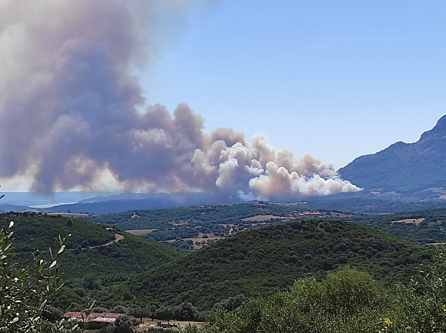 Φωτιά στις Πόρτες Αχαΐας – Σύσκεψη για εκκένωση του χωριού Βάλμη στην Ηλεία