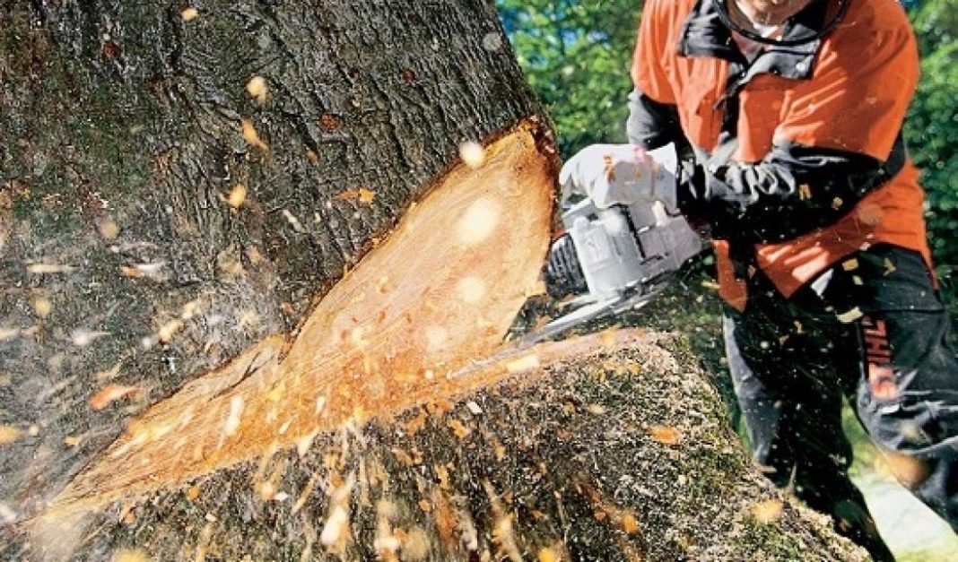 chainsaw