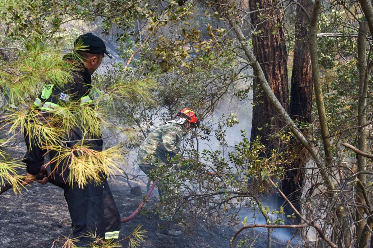 Θ. Ζάγκας στο Πρώτο: Δεν διαχειριζόμαστε σωστά τα δάση που “όμορφα” καίγονται – Ποιο μοντέλο πρέπει να ακολουθήσουμε (audio)