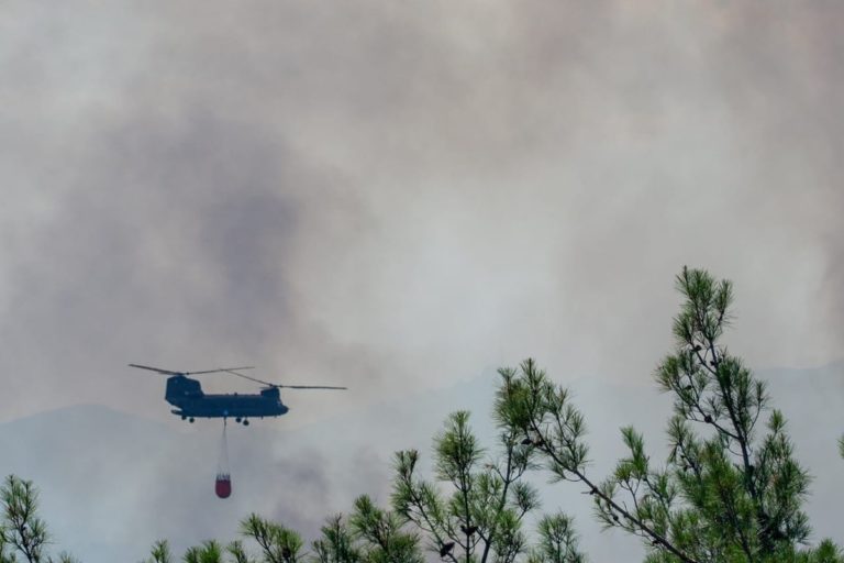 Αντιπεριφερειάρχης Έβρου στο Πρώτο: Δεν ξέρω πόσες ημέρες θα διαρκέσει η μάχη στη Δαδιά – Έχουν καεί περίπου 15 χιλ. στρέμματα – Ελπίζουμε να βρέξει (audio)