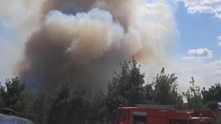 Έβρος: Πυρκαγιά στο δάσος της Δαδιάς – Επιχειρούν εναέρια μέσα