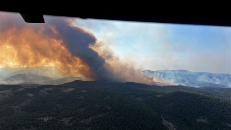 Σε πύρινο κλοιό για 4η μέρα το δάσος της Δαδιάς – Τεράστια οικολογική καταστροφή (video)