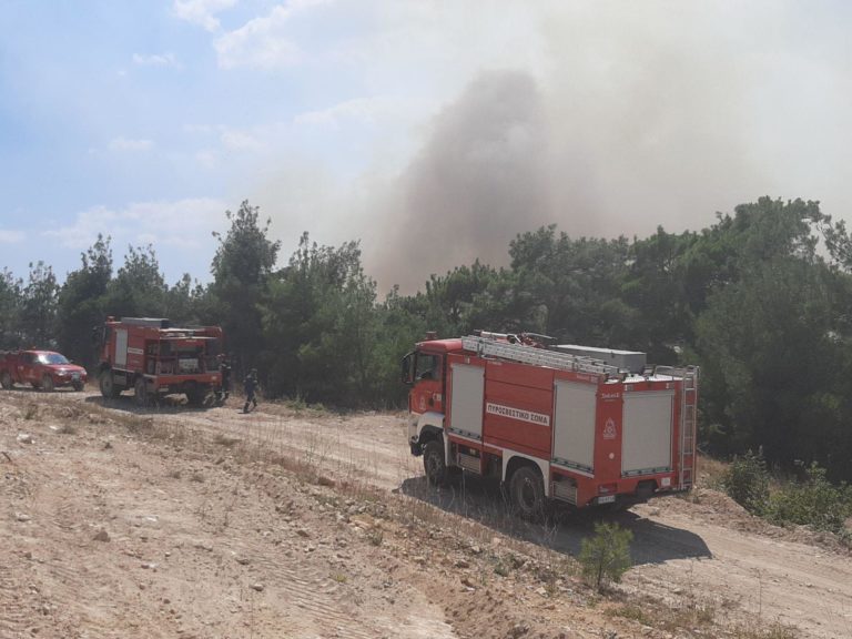 Πυρκαγιά στην Δαδιά: Συνεχίζεται η μάχη με τις αναζωπυρώσεις στο Εθνικό Πάρκο (video)