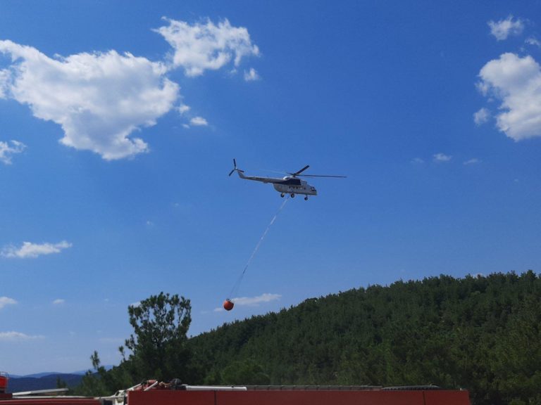 Έβρος: Σε ύφεση η φωτιά στο δάσος της Δαδιάς