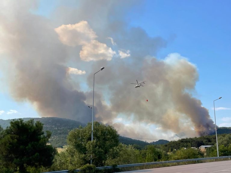 Βελτιωμένη η εικόνα της πυρκαγιάς στην Δαδιά (video)