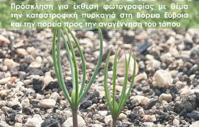 Δήμος Ιστιαίας – Αιδηψού: «Από το Ολοκαύτωμα στην Αναγέννηση»