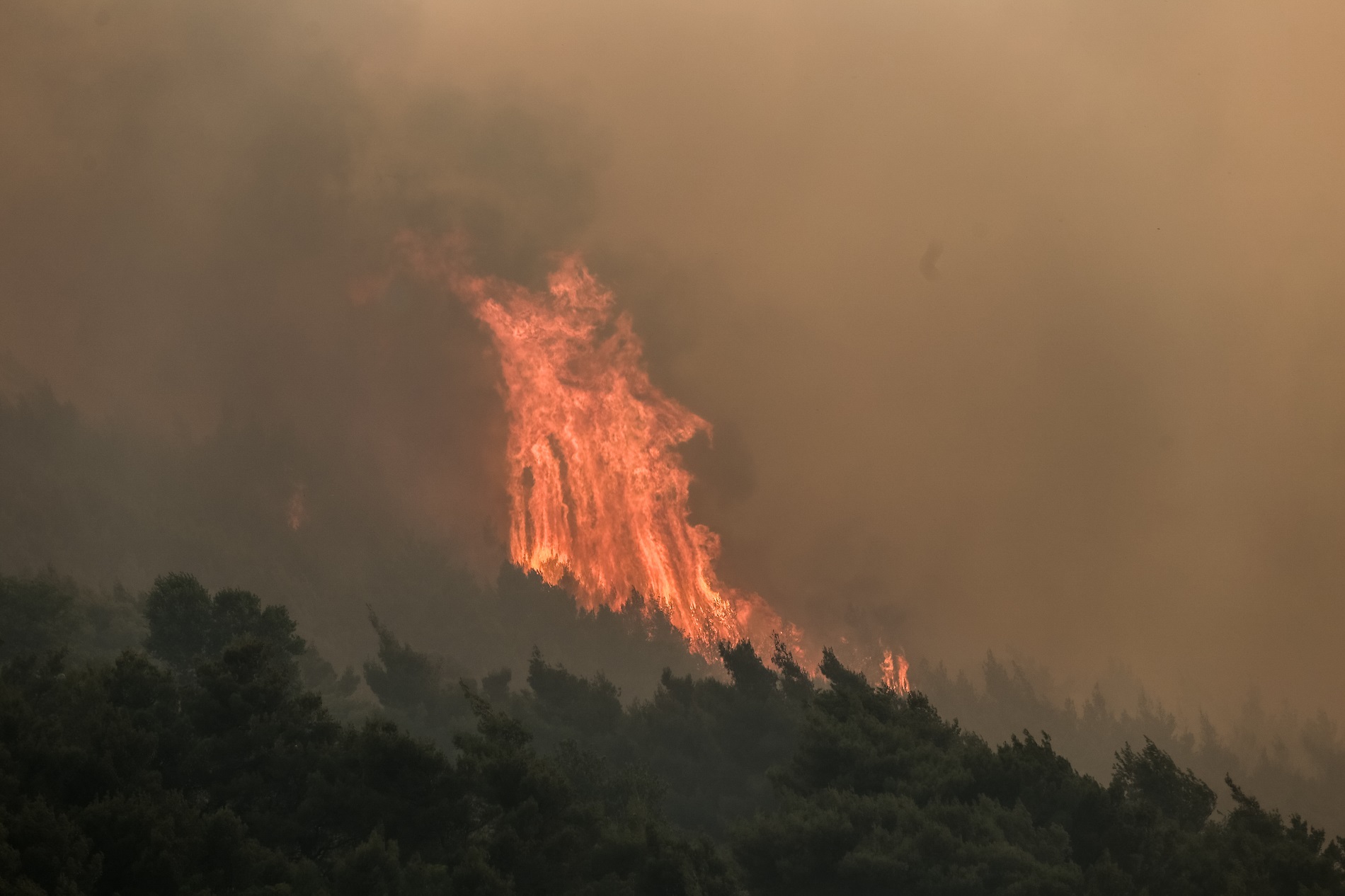 Σε εξέλιξη δασική φωτιά στην Αγία Κυριακή Ηλείας – Στη μάχη εναέριες και επίγειες δυνάμεις