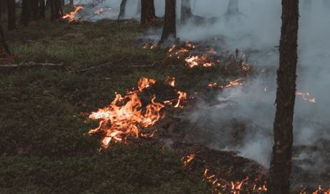 Πολύ υψηλός κίνδυνος πυρκαγιάς για τη Δευτέρα – Δείτε το Χάρτη Πρόβλεψης Κινδύνου