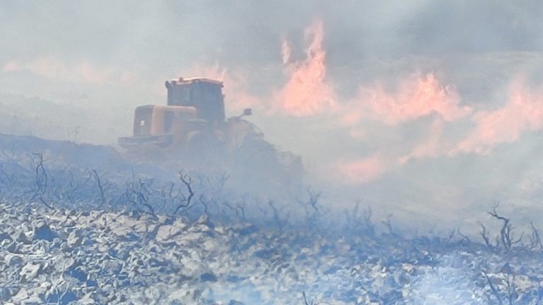 Ηράκλειο: Οριοθετήθηκε η φωτιά στο δάσος της Κέρης –  Η τρίτη σε δύο εβδομάδες
