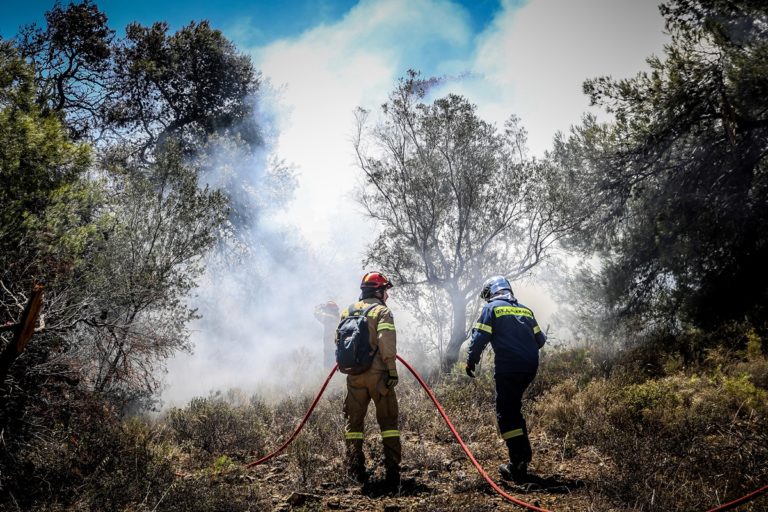 Κ. Καρτάλης στο Πρώτο: Γιατί να υπάρχουν τακτοποιημένα αυθαίρετα σε δάση; Καλύτερη η προσέγγιση φέτος στην πρόληψη πυρκαγιών (audio)