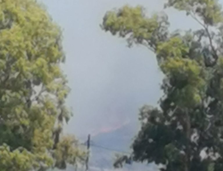 Λακωνία: Οριοθετήθηκε η πυρκαγιά στην περιοχή «Αφανιά» της Σκάλας