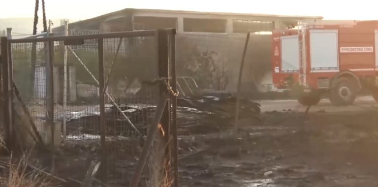 Έσβησε η φωτιά σε αποθήκη ξυλείας στον Ασπρόπυργο – Παραμένουν δυνάμεις πυρόσβεσης (video)