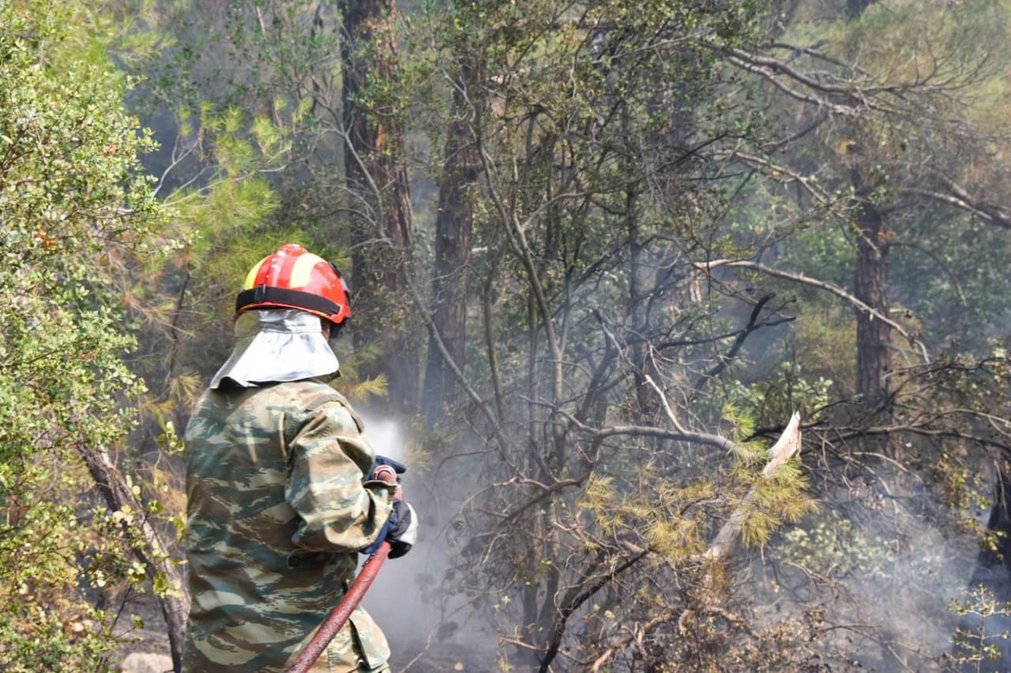 Συνεχίζεται για 6η μέρα η φωτιά στη Δαδιά Έβρου – Δύο τα μέτωπα στη Λέσβο, σε ύφεση στα  Κρέστενα