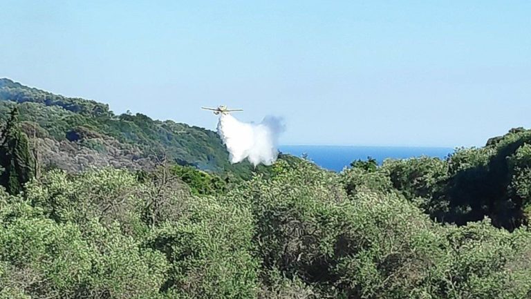 Κέρκυρα: Σε ύφεση η πυρκαγιά στα νότια του νησιού – Κάηκαν ελιές