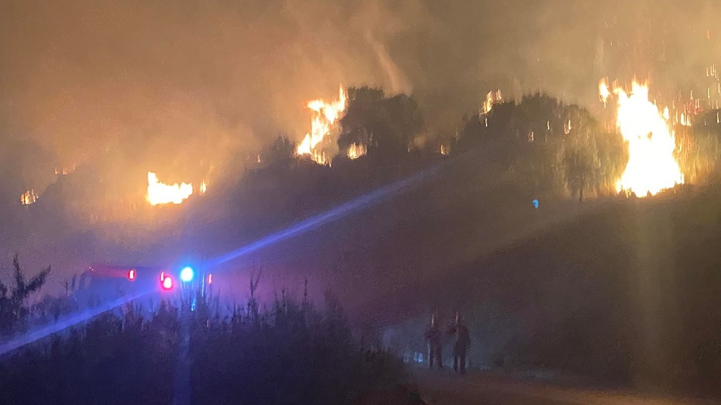 Σε εξέλιξη πυρκαγιά στην Ανάληψη Αμαλιάδας – Επιχειρούν ισχυρές επίγειες δυνάμεις