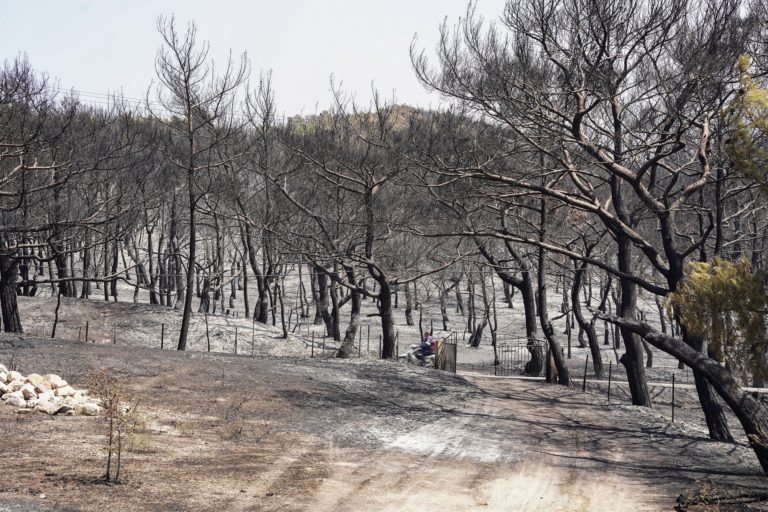 Λέσβος: Δηλώσεις ΕΛΓΑ στο ΚΕΠ Πολιχνίτου για τις ζημιές από τη φωτιά