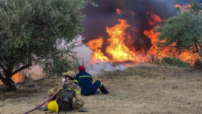 Ηλεία: Πυρκαγιά στο Μαρκόπουλο του δήμου Πηνειού