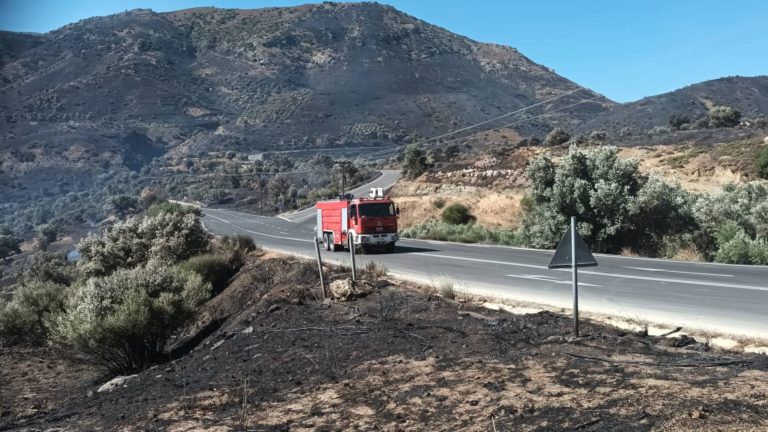 Ρέθυμνο: Αποκαρδιωτική η επόμενη μέρα στα καμένα – Ζητούν να στηριχθούν οι κάτοικοι (βίντεο)