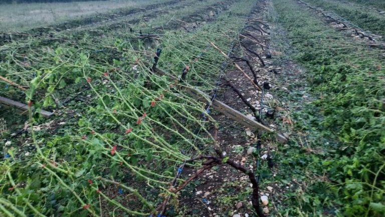 Παγγαίο: Σύσκεψη με κυβερνητικό κλιμάκιο για τις καταστροφές- Κινητοποίηση αγροτών