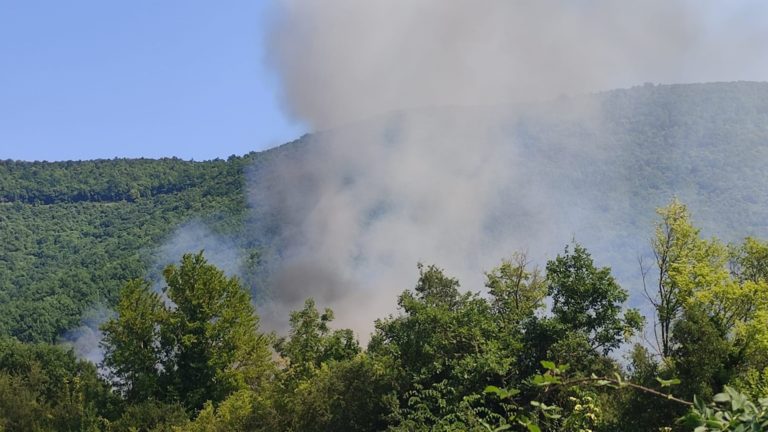 Ήπειρος: Καλύτερη η εικόνα της πυρκαγιάς στον Αμάραντο Κόνιτσας – Μάχη με τις αναζωπυρώσεις