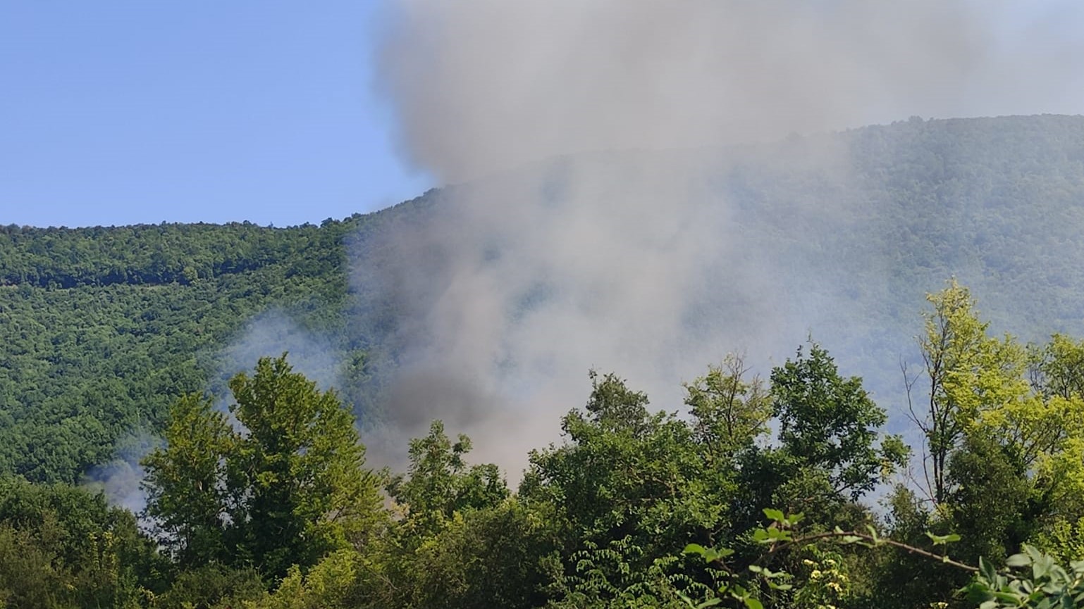 Σε ύφεση η πυρκαγιά σε δασική έκταση στην Άρνα Λακωνίας