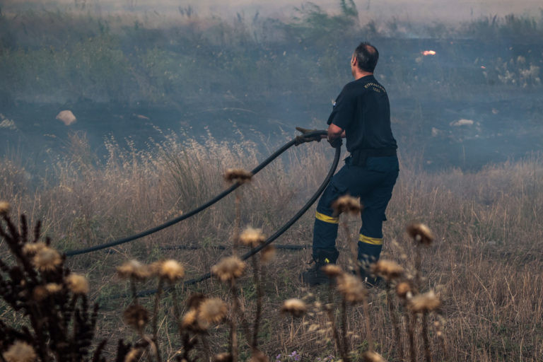 Λάρισα: Φωτιά στο Καλαμάκι Αγιάς καίει καλλιέργειες – Τέθηκε υπό μερικό έλεγχο