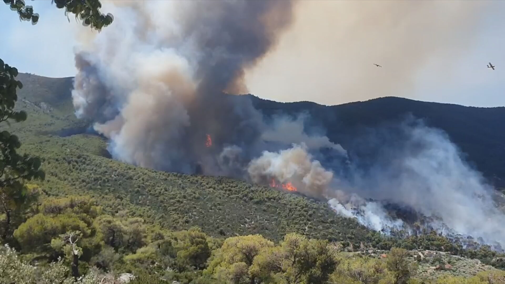 Φωτιά στο Πόρτο Γερμενό: Το βασικό μέτωπο κοντά στο Αλεποχώρι – Εντολή για εκκένωση του οικισμού Μύτικα