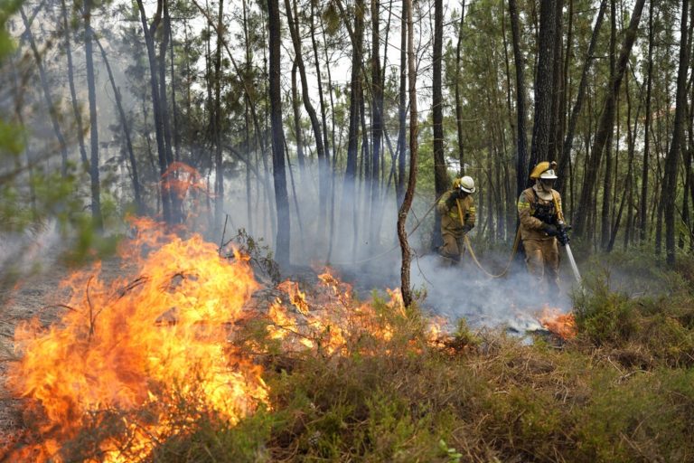 Στο έλεος των πυρκαγιών η Νότια Ευρώπη – Δεκάδες νεκροί από τον καύσωνα
