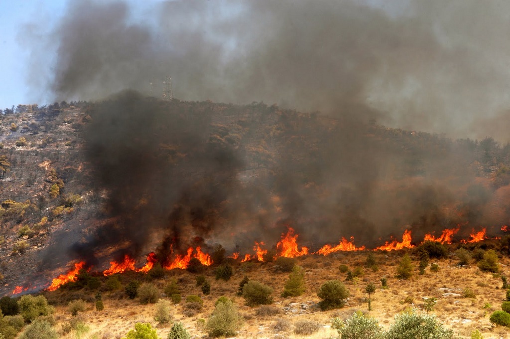 Σε ύφεση η πυρκαγιά στη Θάσο – Κάηκε πυκνό δάσος, καταγγελίες για εμπρησμό